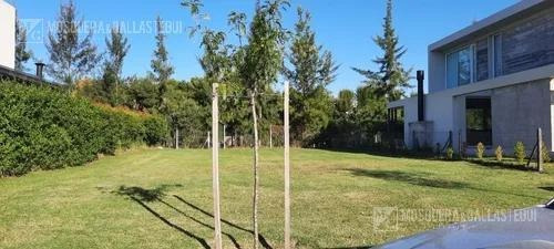 Imagen 4 de 4 de Terreno - Tipas