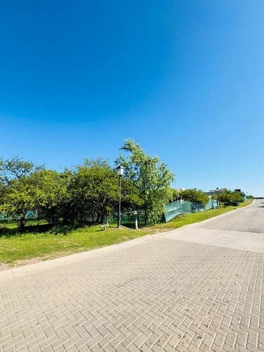 Venta Lote De 1.005 M² En Estancia El Terrón Se Recibe Menor!!