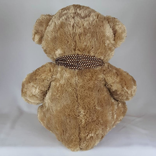 Imagem 3 de 3 de Urso De Pelúcia 60cm Bege Cachecol Coração