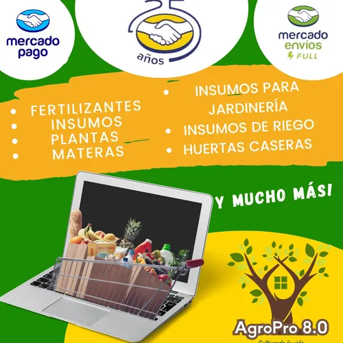 Pasto Grama Bermuda X 400gr