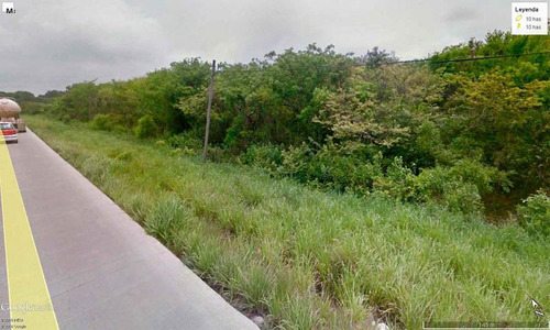 Venta Terreno 10 Hectáreas Carretera Tuxpan - Tamiahua Veracruz