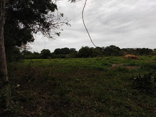 Venta Terreno 6 Has. Santiago De La Peña Tuxpan Veracruz