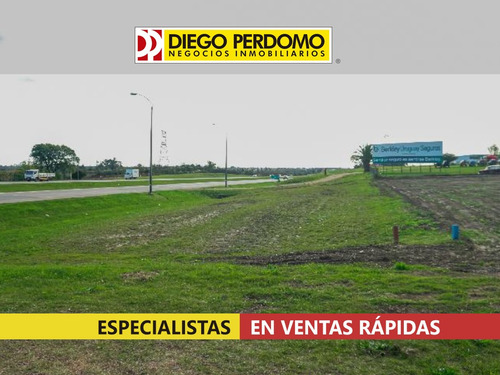 Terreno De 4.788 M², En Venta, Montevideo