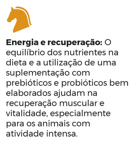 Suplemento Prebiótico Poderoso Para Cavalo Potro Égua 2 Kg