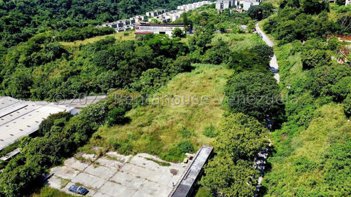 Terreno En Venta En Los Anaucos Cda 24-8682 Yf