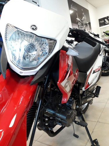 Imagen 10 de 16 de Motomel Skua 250 Cc - Mejor Contado - Financiacion! Créditos