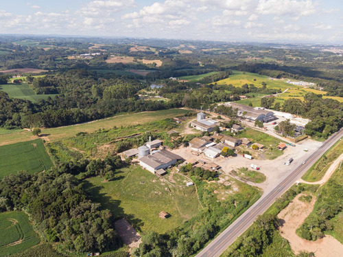Imagem 17 de 17 de Terreno/ Área 20.000m² A Venda Em Araucária Pr. - Te00002 - 68828711