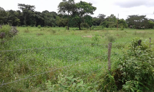Imagen 2 de 9 de Finca En Sector Madre Vieja, Barinas