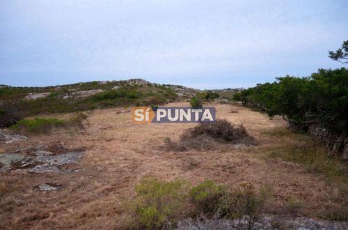 Imagen 9 de 13 de El Cerro
