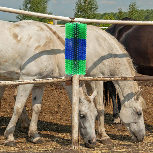 Cepillo De Masaje Para Caballos Cepillo Rascador Para Ganado