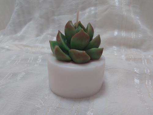 10 Velas P/recuerdo, Maceta C/suculenta Boda, Xv, Bautizo