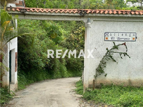 En Venta Finca Productiva, Con Casa, Galpones Y Cultivo De Café
