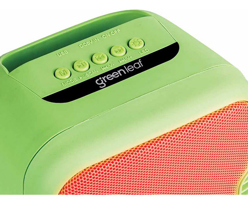 Bocina Green Leaf Glb-3003gr Portátil Con Bluetooth 110v