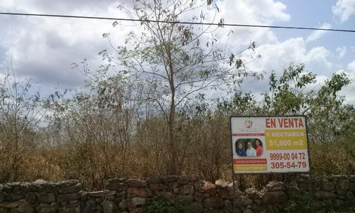 Imagen 1 de 3 de Terreno En Venta Santa Gertrudis Copo, Mérida Yucatán