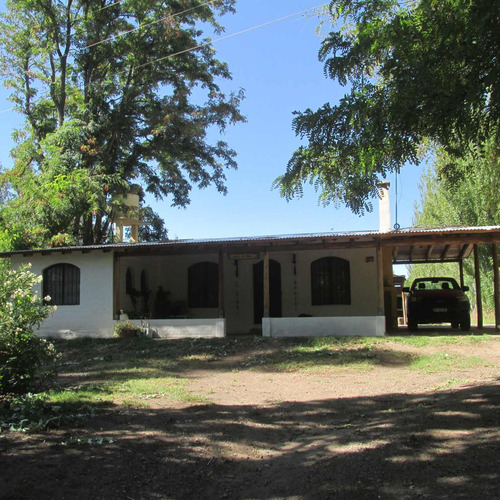 Venta Finca Olivos Ciruelas En San Rafael Mendoza