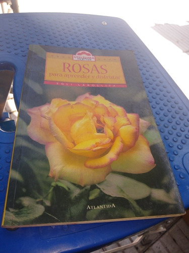 Rosas Para Aprender Y Disfrutar Labollita Atlantida Casa15