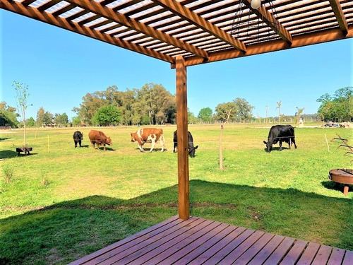 Alquiler Casitas De Campo Sustentables, Con Pileta De Arena, Viví La Experiencia !!!