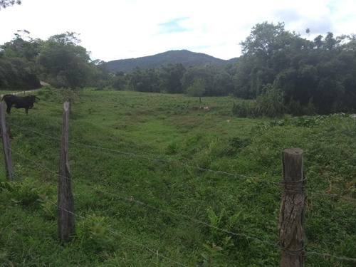 Imagem 19 de 30 de Fazenda - Fa00003 - 34856184