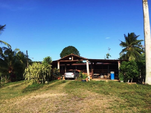 Imagen 11 de 13 de Venta Para Inversion Finca Hacienda En Produccion