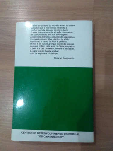 Livro Espinhos Do Tempo