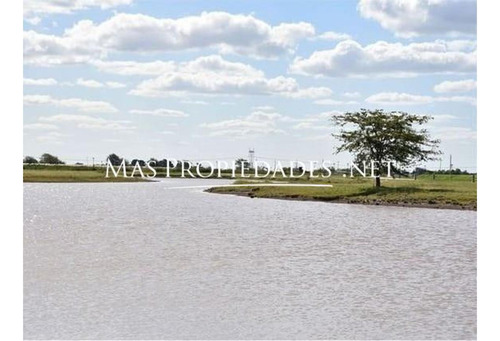 Imagen 6 de 7 de Lote En Venta En Canning Santa Clara Al Sur