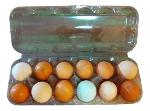 comprar Embalagem Cartela Estojo Para 12 Ovos De Galinha 60 Bandejas