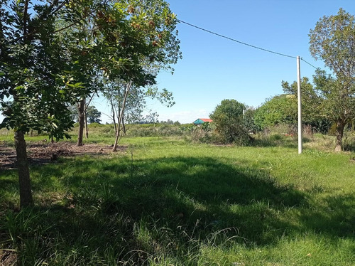 Imagen 1 de 6 de Terreno - Gualeguaychu