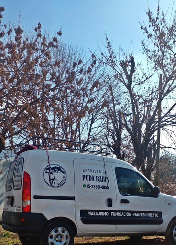 Imagen 11 de 12 de Poda De Arboles Tala Extracciones Palmera Whatsap 1528694955