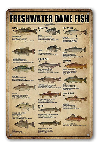 Decoracion De Pared De Pesca, Carteles De Pesca De Cabana Ru