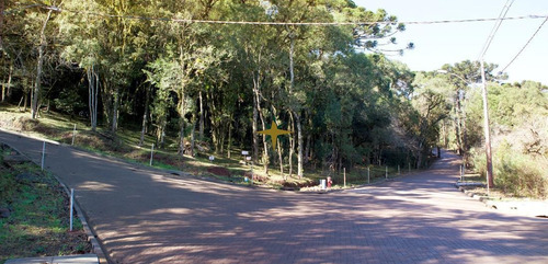 Imagem 8 de 16 de Terreno A Venda - 1081