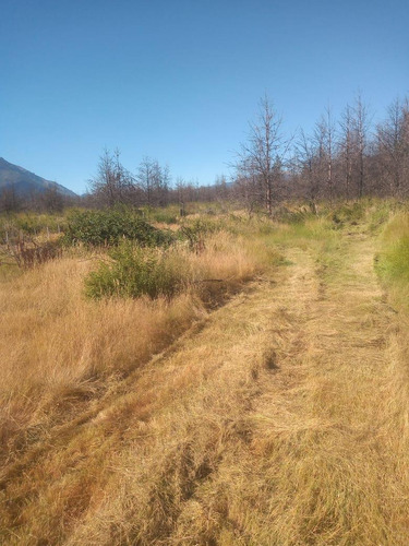 Terreno En Las Golondrinas