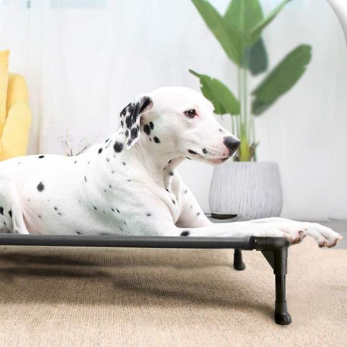 Cama Elevada Para Perros Veehoo, Cuna Elevada Portátil Para