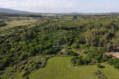 Imagen 5 de 7 de Terrenos Venta Playa Verde
