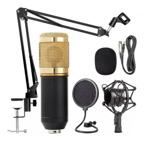 Microfone Condensador Youtuber Podcast Studio Gravação Cor Preto