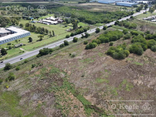 Imagen 5 de 12 de Lote / Terreno / Predio Industrial / Comercial En Venta De 6,3 Has En Florencio Varela