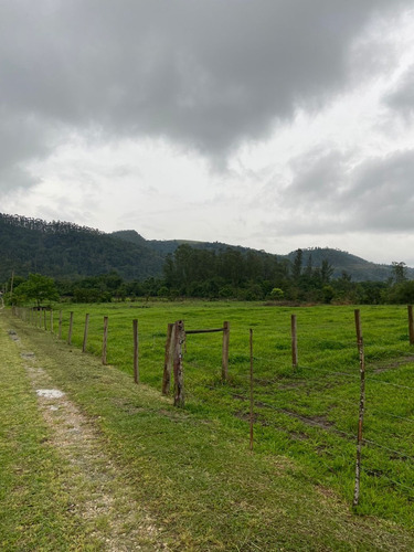Imagem 8 de 14 de S02 - Terreno Bom E Barato