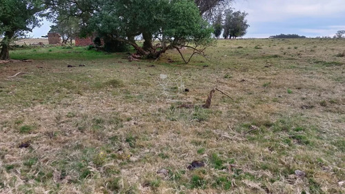 114 Has 9201 M2 En Paraje Jose Ignacio
