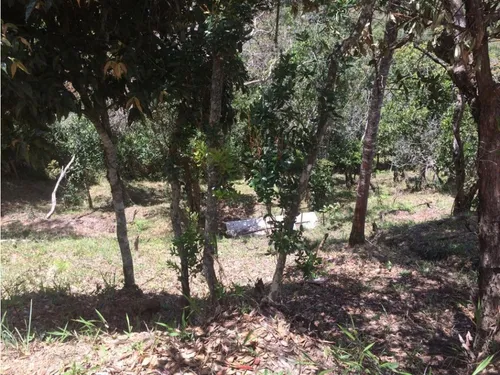 Lote En Venta Con Cabaña Y Explanada Para Casa Principal, Guarne