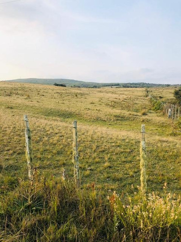 Chacra - José Ignacio