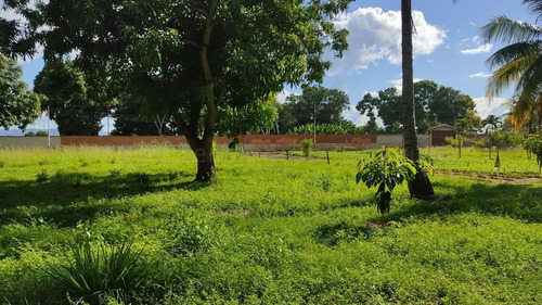 Hermosa Parcela En Venta, Con 2.7 Hectareas De Terreno, Que Cuenta Con Amplia Casa De Dos Pisos Que Cuenta Con 5 Cuartos, 2 Banos, Sala, Comedor Y Cocina, Amplios Corredores Techados