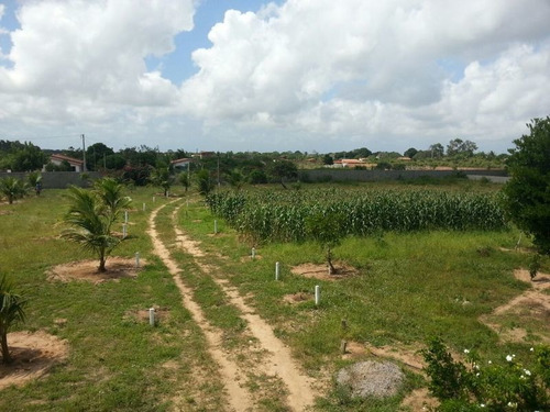 Imagem 7 de 8 de Terreno 10.000m Com Casa Em São Jose De Mipibú