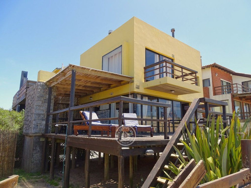 Lobos De Mar En Punta Del Diablo