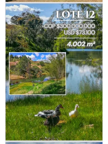Rhbr-11408 (lote, Guatape)