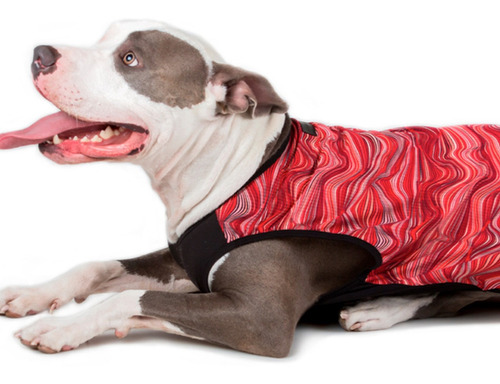 Remeras Y Musculosas Para Perros Grandes Rebel Psycho