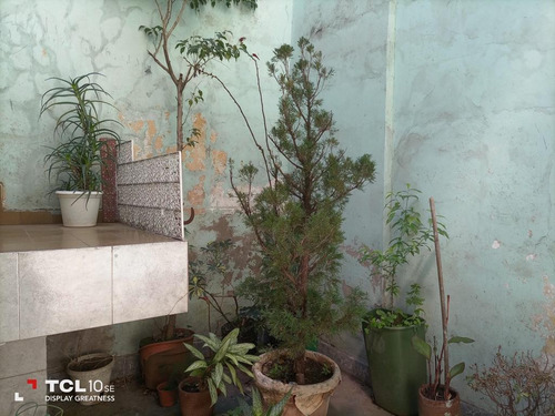 Imagen 7 de 12 de Casa En Venta En Saavedra, Ideal Constructor. Ubicación Excelente.