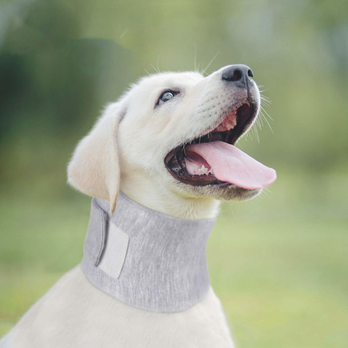Collarín Para Perros Collar Protector Protección Talla L