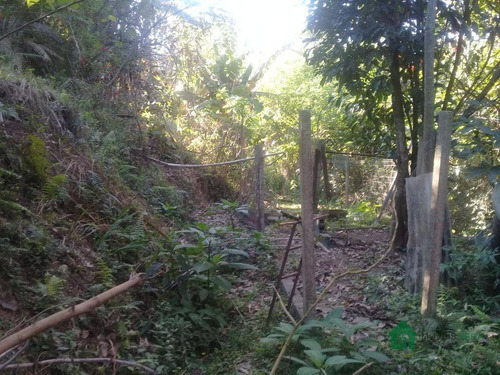Imagem 20 de 30 de Chácara Com 2 Dormitórios À Venda, 2425 M² Por R$ 290.000 - Embu Mirim - Itapecerica Da Serra/sp. Consulte-nos! - Ch0001