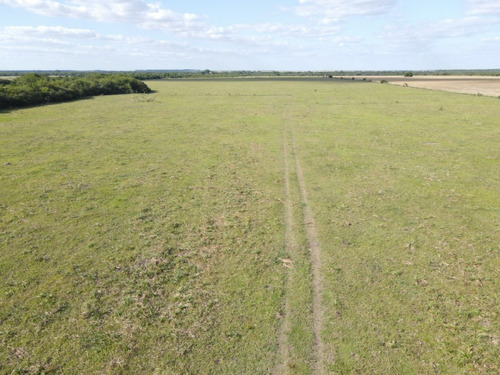 Campo En Venta De 65 Has Agrícolas En Las Guachas - Rosario Del Tala.