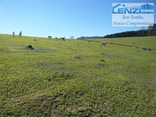 Imagem 4 de 4 de Chácaras À Venda Em Bragança Paulista/sp - Compre O Seu Chácaras Aqui! - 1359066