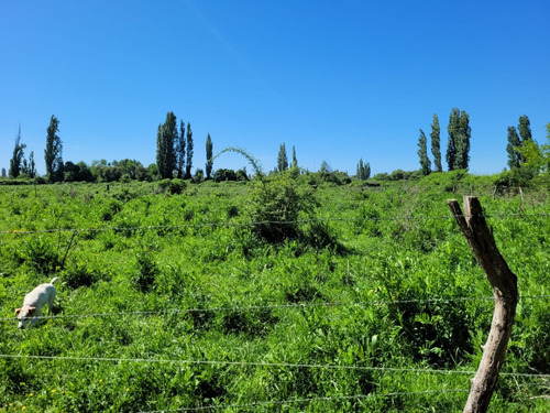 Terreno De 2,5 Há, En Cuñibal, Cercano A Los Ángeles